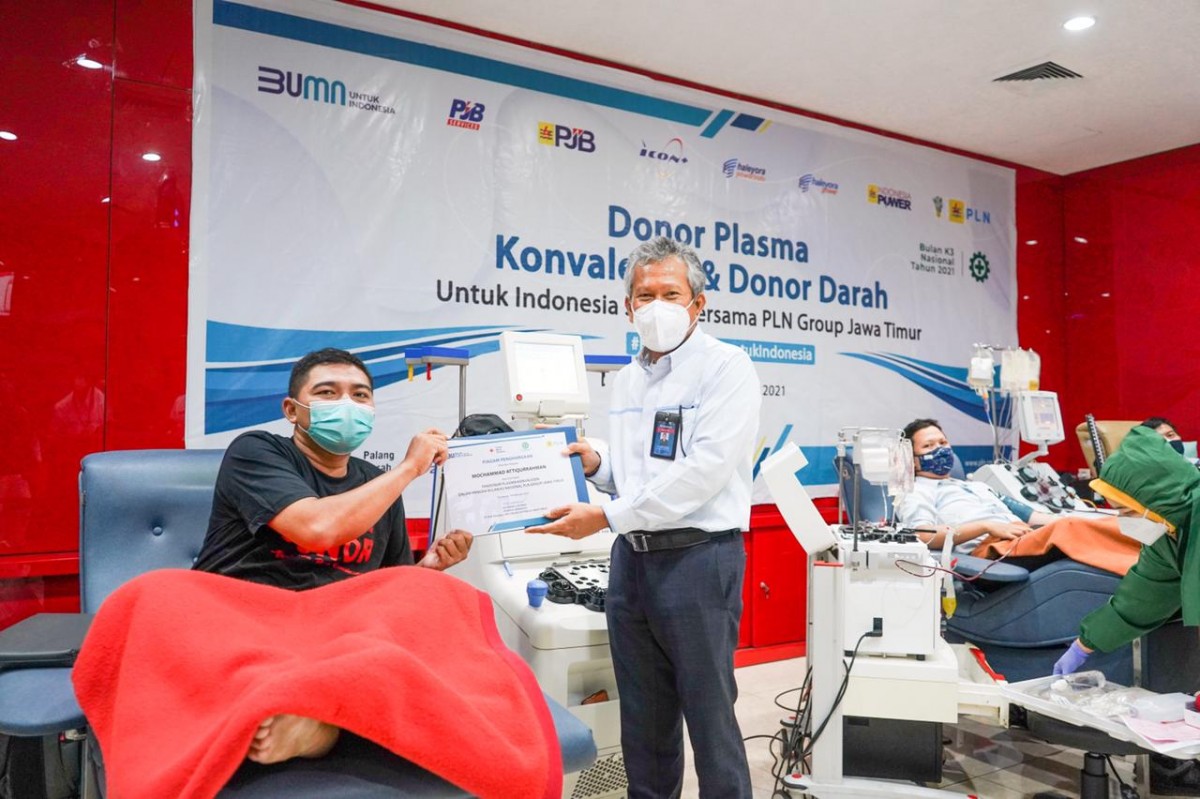 Kontribusi Penanganan Pandemi Pln Gandeng Pmi Gelar Donor Darah Dan