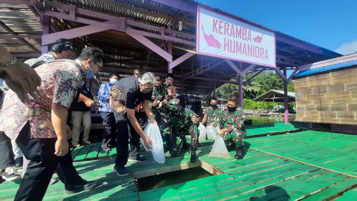 Bupati Jarot melepas bibit ikan di Kerambak Humaniora milik Kodim Sintang. Foto: Prokopim Pemkab Sintang