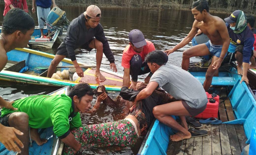 Perahu Karam di Danau Sentarum, Pasangan Suami Istri Meninggal Berpelukan