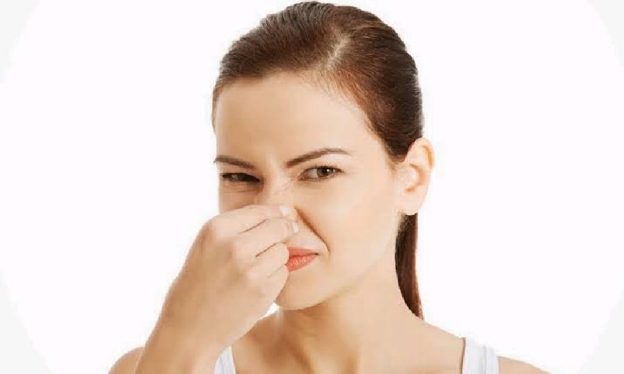 Warga Keluhkan Bau Kotoron Hewan Pertenakan di Tengah Pemukiman