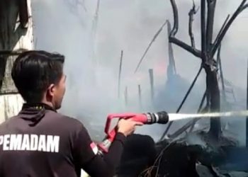Karhutla di Kubu Raya Mengganas, Hunian Warga Ludes, Rumah Walet Hangus