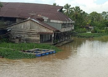 Pemkab Sambas Dukung Budidaya Ikan di Sungai Semparuk Sebangkau