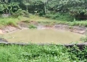 Tangan Warga Sambas Putus Diterkam Buaya di Sinka Zoo Singkawang