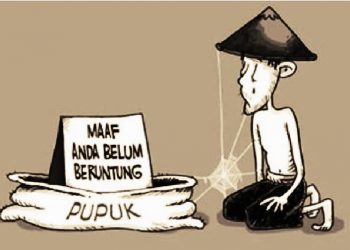 Keluhkan Pupuk Mahal, Petani Jeruk di Tebas Harap Pemerintah Berikan Solusi