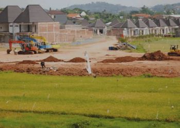 Lahan Pangan di Ketapang Banyak Alih Fungsi