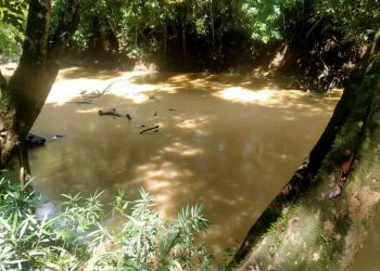 Masyarakat Minta Polisi Tindak Tegas PETI di Seberuang