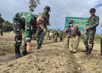 Dukung Ketahanan Pangan, Kodim Putussibau Tanam Jagung di Lahan Tidur