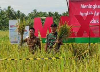 Bupati Satono Bercita-cita Sambas Jadi Lumbung Padi Terbesar di Indonesia