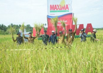 Tingkatkan Potensi Pertanian, Bupati Satono Ingin Pemprov Perhatian Kebutuhan Petani Sambas