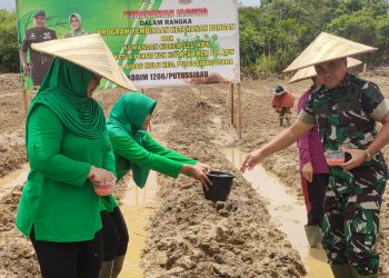 Tanam Jagung Bersama Gapoktan, Danrem 121/Abw: Ketahanan Pangan Program TNI AD