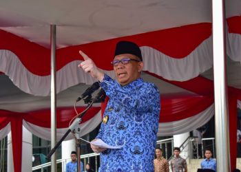 Menagih Janji Insentif Desa Mandiri