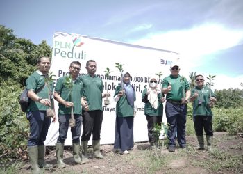 Hijaukan Kawasan Pinggiran Pantai, PLN Kalbar Kembali Tanam 10 Ribu Pohon Mangrove