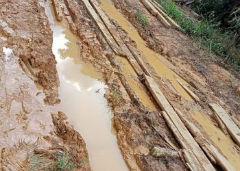 Bertahun-tahun Jalan Landau Kumpang – Riam Tapang tanpa Sentuhan Pemerintah Daerah