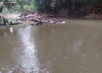 PETI Merajalela di Seberuang, Polisi Dituding Tidak Bertindak