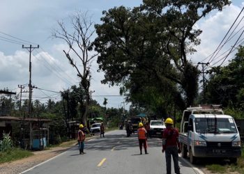 Tingkatkan Keandalan Listrik, PLN ULP Siantan Ajak Stakeholder Lakukan Program P3K