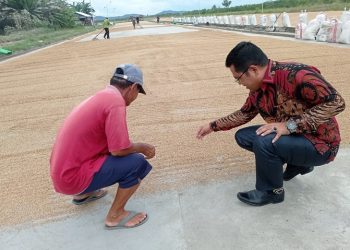 Cegah Harga Padi Anjlok, Mardani Dorong Pemkab Sambas Bentuk BUMD