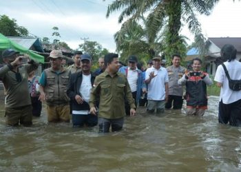 Tinjau Banjir di Lubuk Lagak, Bupati Satono Janji Segera Salurkan Bantuan