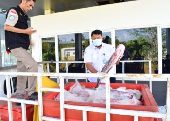 Ekspor Ikan dari Kapuas Hulu ke Malaysia Mulai Naik