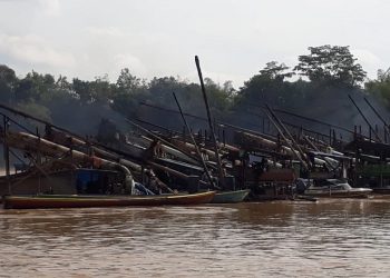 Hutan Lindung di Putussibau Selatan jadi Lokasi PETI