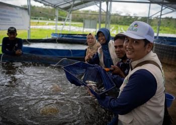 Program Bioflok PLN Menguntungkan, Gabungan Kelompok Tani Kayuh Baimbai Mampu Sustain