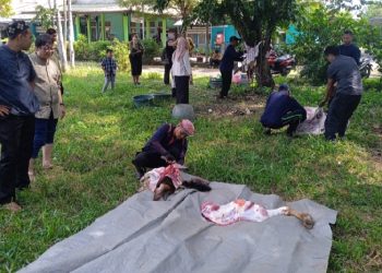 BPM Kalbar Bagikan Daging Kurban ke Ratusan Warga di Pontianak