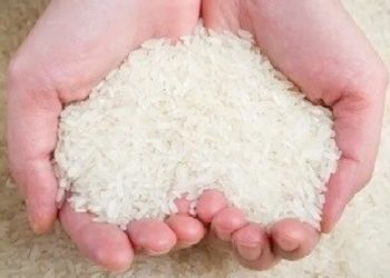 Bea Cukai Hibahkan 18.000 Kg Beras Hasil Penindakan ke Pemprov Kalbar