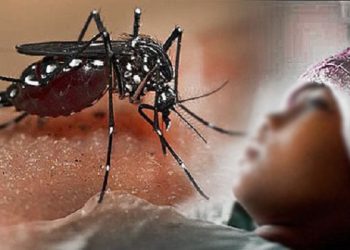 RSUD Soedarso Dipenuhi Pasien DBD, 48 Orang Masuk IGD