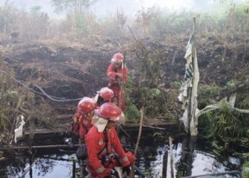 Puluhan Hektare Lahan di Desa Sungai Asam Terbakar