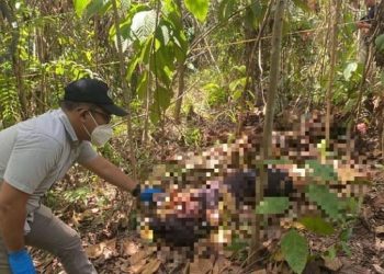 Motor yang Digunakan Hilang, Seorang Wanita Ditemukan Jadi Mayat di Muara Jekak