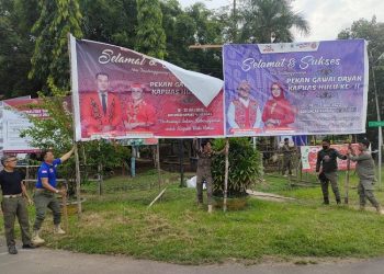 Satpol PP Kapuas Hulu Tertibkan Baliho Usang