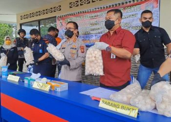 Polisi Gagalkan Penyelundupan Ribuan Telur Penyu Hijau Tujuan Malaysia