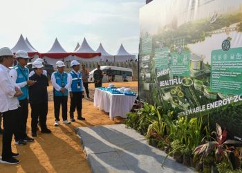 Presiden Groundbreaking Pembangunan PLTS PLN 50 MW di IKN Nusantara, Hadirkan 100% Energi Bersih