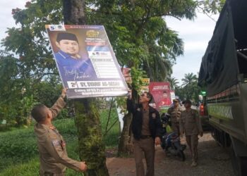 Satpol PP Pontianak Copot 400 Baliho di Pohon