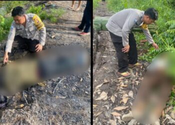 Warga Kayong Utara Digegerkan Penemuan Dua Mayat Laki-laki