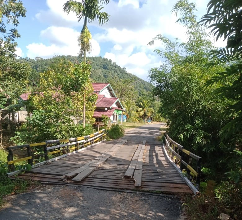 Jembatan Dusun Tambak Rawang merupakan akses satu-satunya bagi warga setempat. Foto: Bakri Rahman