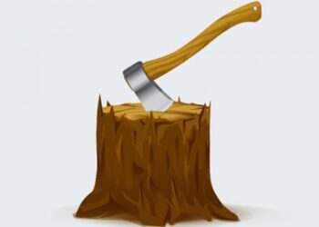 Pembalakan Liar di Kapuas Hulu Merajalela, Kayu Diduga Dijual ke Luar Daerah