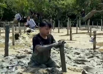 Borneo Mangrove Action, Kolaborasi Jurusan Kelautan FMIPA Untan dan Gemawan