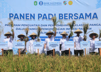 Pj Gubernur Kalbar, Harisson melakukan panen padi bersama di Desa Peniraman. Foto: Adpim Pemprov
