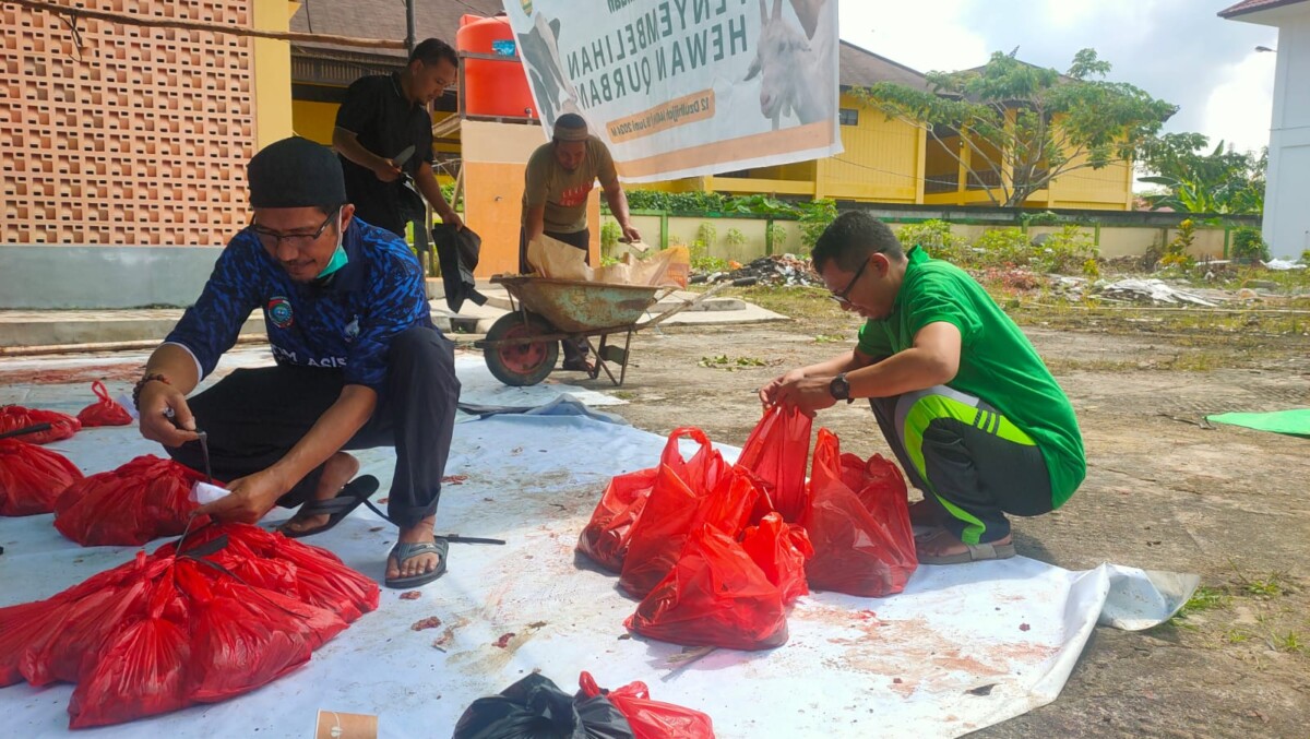 Kasi Haji Mulyadi Alra ikut mempacking daging sapi kurban yang akan dibagikan ke penerima yang sudah didaftar.