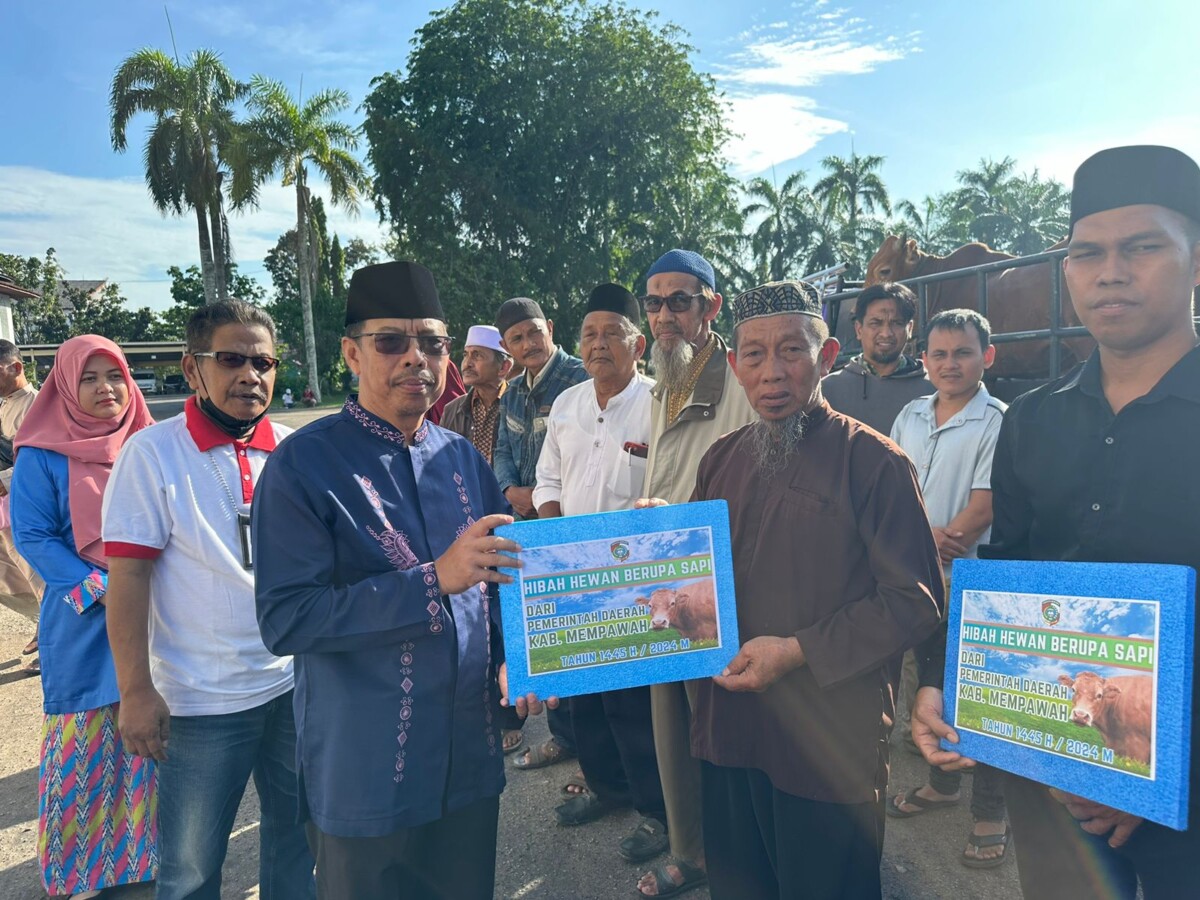 Pj Bupati Ismail, serahkan Hewan Kurban kepada pengurus Masjid dan Pesantren ; foto Bayu, Humas Pemkab Mempawah