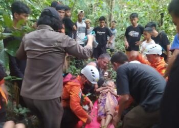 Tujuh Hari Tersesat di Hutan, Nenek 78 Tahun Ditemukan Terbaring Lemas