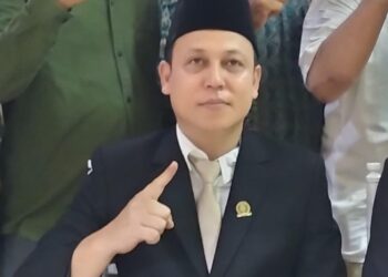Wakil Ketua DPRD Sekadau, Handi