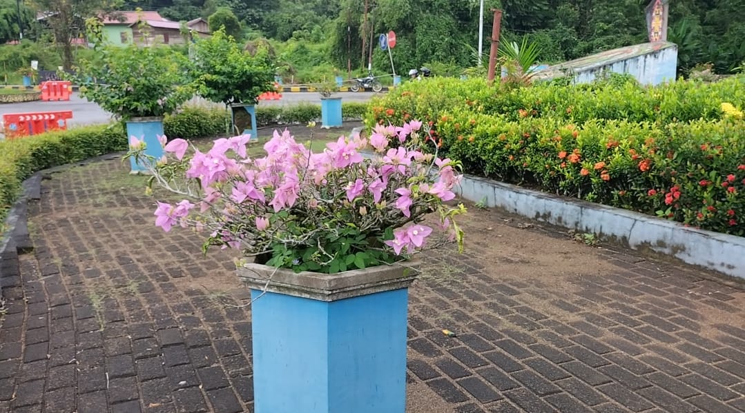 Bunga yang tumbuh subur di RTH Jalan Akses Masuk Perkantoran