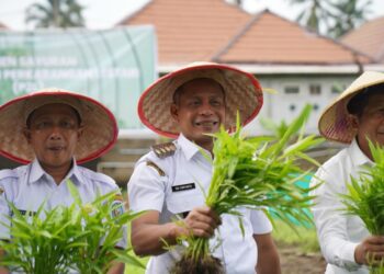 Caption Foto : Pj Wali Kota Pontianak Edi Suryanto saat mencanangkan Gerakan Menanam Pekarangan beberapa waktu lalu.