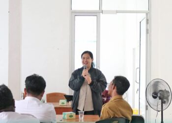 Caption Foto: Kepala Dinas Kesehatan dan KB Kabupaten Kayong Utara. Maria Fransisca. Foto (Dinkes)