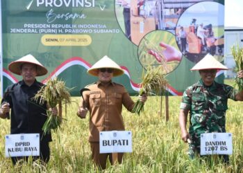 Bupati Kubu Raya Sujiwo mengikuti Panen Raya Padi Serentak 14 Provinsi di Poktan Mandiri Abadi, Jalan Parit Nomor 2 Gang Flamboyan 5B, Desa Parit Baru, Kecamatan Sungai Raya, Senin (7/4/2025).