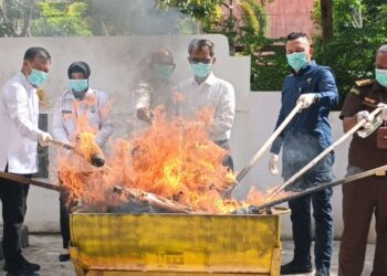 Kejaksaan Negeri (Kejari) Pontianak memusnahkan barang bukti berbagai macam kasus yang telah berkekuatan hukum tetap, Senin 21 April 2025.