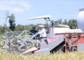 Bupati Jember Muhammad Fawait mengendalikan traktor saat panen raya padi di Desa Lojejer Kecamatan Wuluhan. foto: Sigit Priyono/Jurnalis.co.id