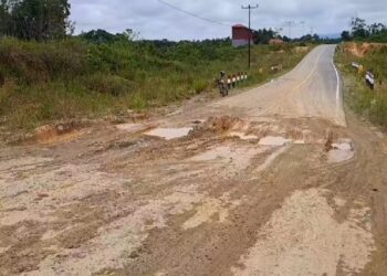 Baru Dibangun PT Adhi Karya, Proyek Jalan Nasional di Kapuas Hulu Sudah Rusak Parah