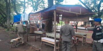 Petugas Satpol PP Kota Pontianak menertibkan lapak-lapak PKL di sepanjang bahu Jalan Ampera Pontianak Barat.